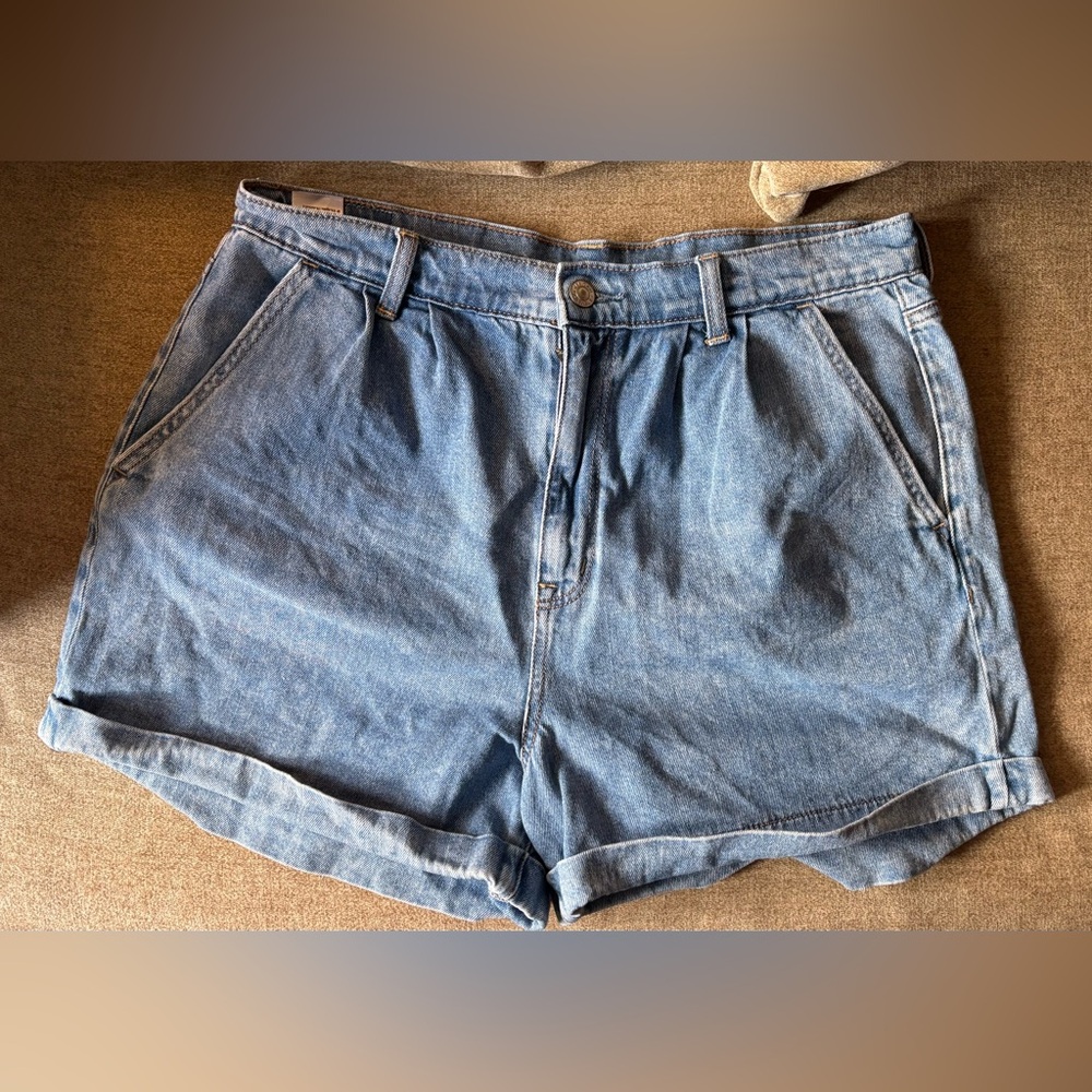 American Eagle Outfitters Light Blue Jean Shorts